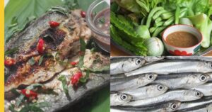 Read more about the article Anchovy Sauce (Budu): A Salty Delight from Malaysia